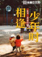 相逢少年时封面