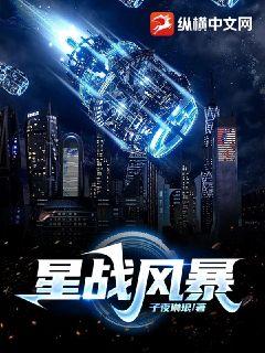 星战风暴封面
